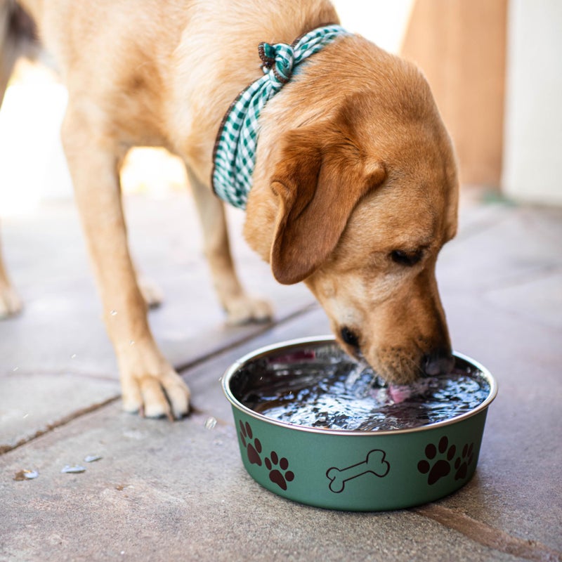 Loving Pets Bella Dog Bowls- Stainless Steel Dog & Cat Bowls - Spill Proof Dog Food Bowl, Cat Bowl, Puppy Essentials & Pet Supplies Great for Home & Travel (Large 35-65 lbs, Artichoke) - Image 5